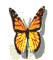 [Obrázek: butterfly.gif?dateline=1355763243]